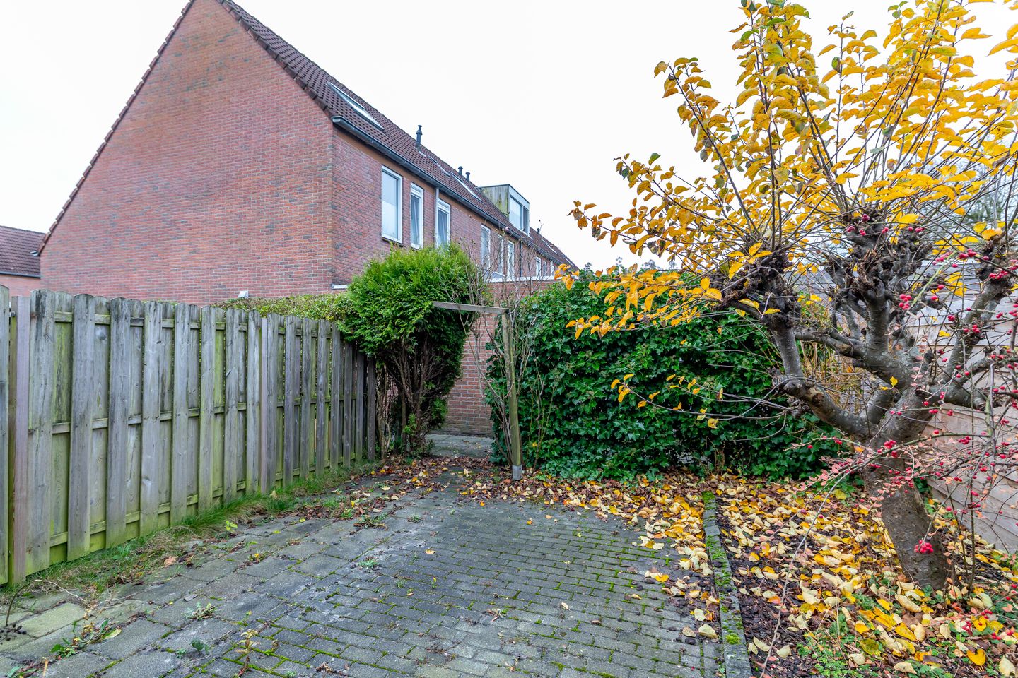 Foto 14 van De Lijsterbes 15