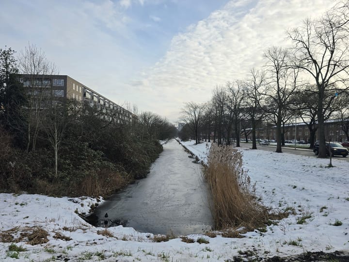 Foto 20 van Erasmusplein 171