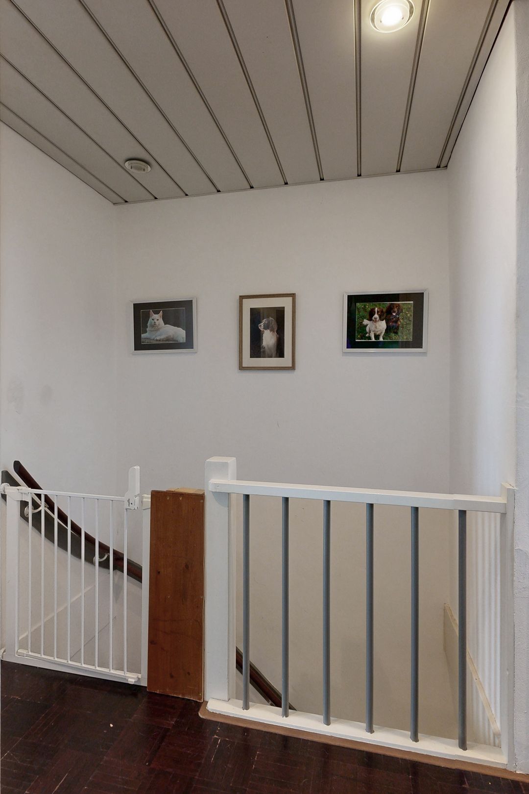 Foto 37 van Plataanstraat 17