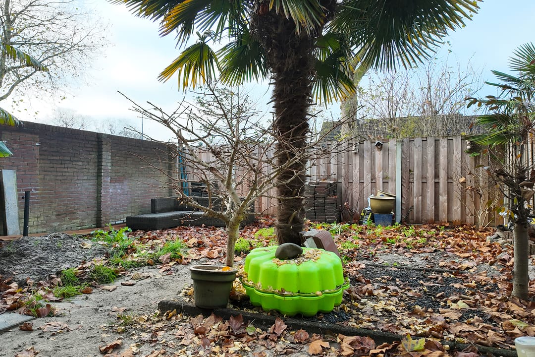 Foto 53 van Plataanstraat 17