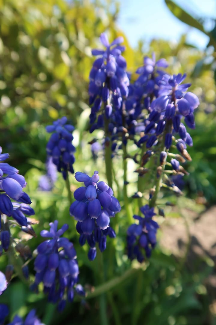 Foto 32 van Vossersteeg 66-A