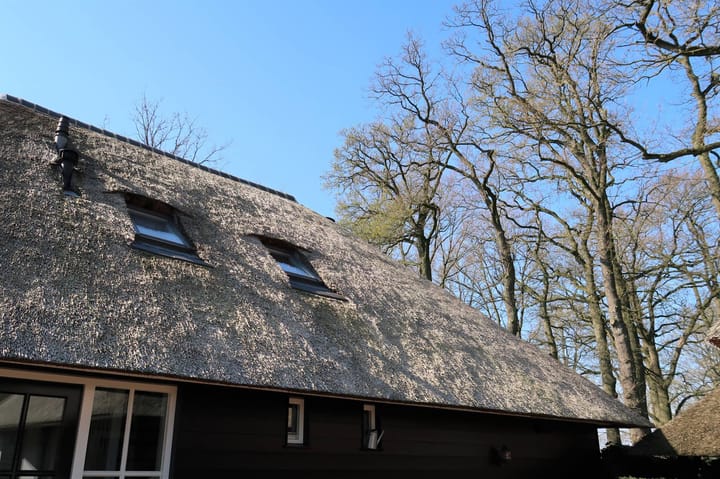 Foto 30 van Vossersteeg 66-A