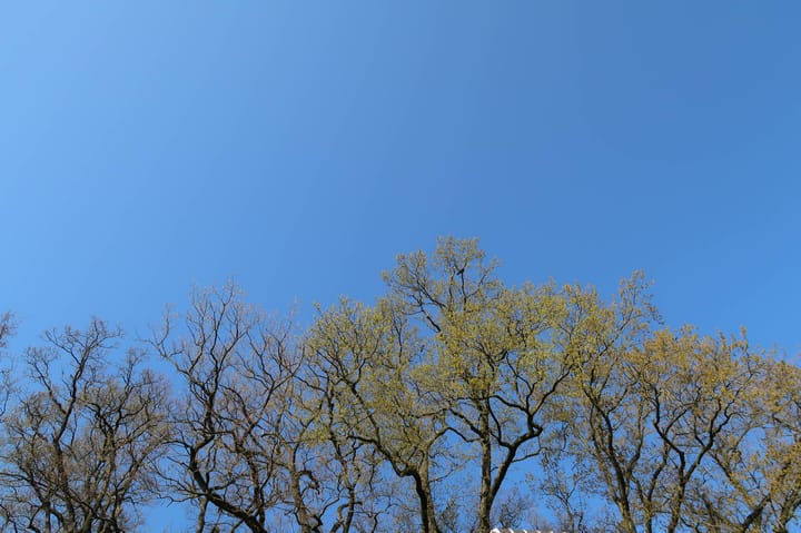 Foto 31 van Vossersteeg 66-A