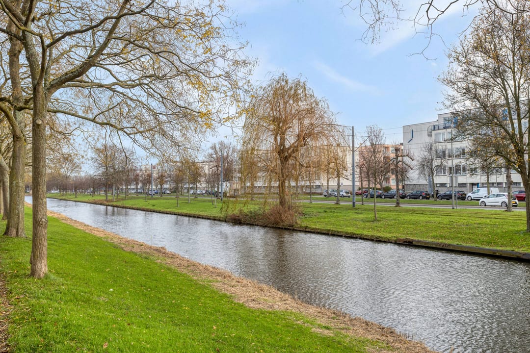 Foto 26 van Nieuwe Damlaan 589