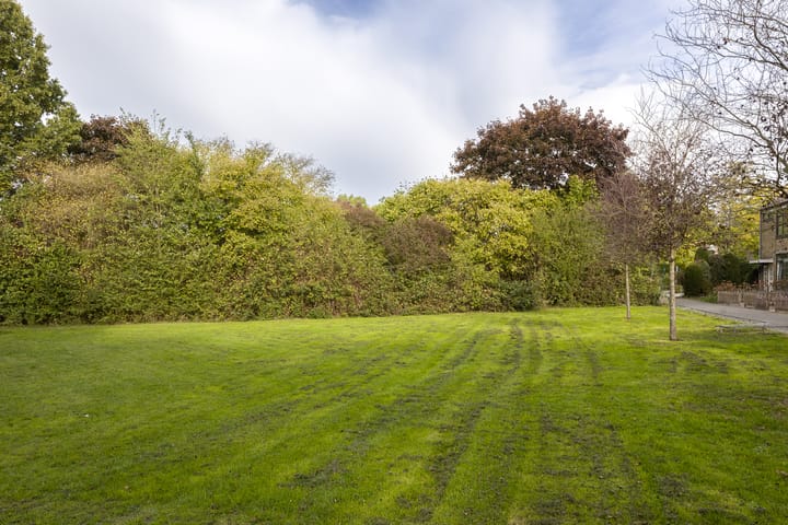 Foto 6 van Frankenplantsoen 11