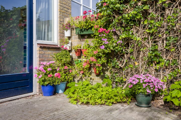 Foto 20 van Frankenplantsoen 11