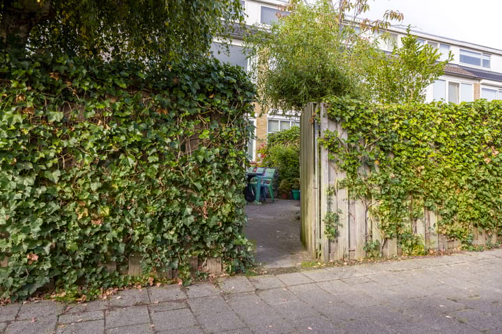 Foto 26 van Frankenplantsoen 11