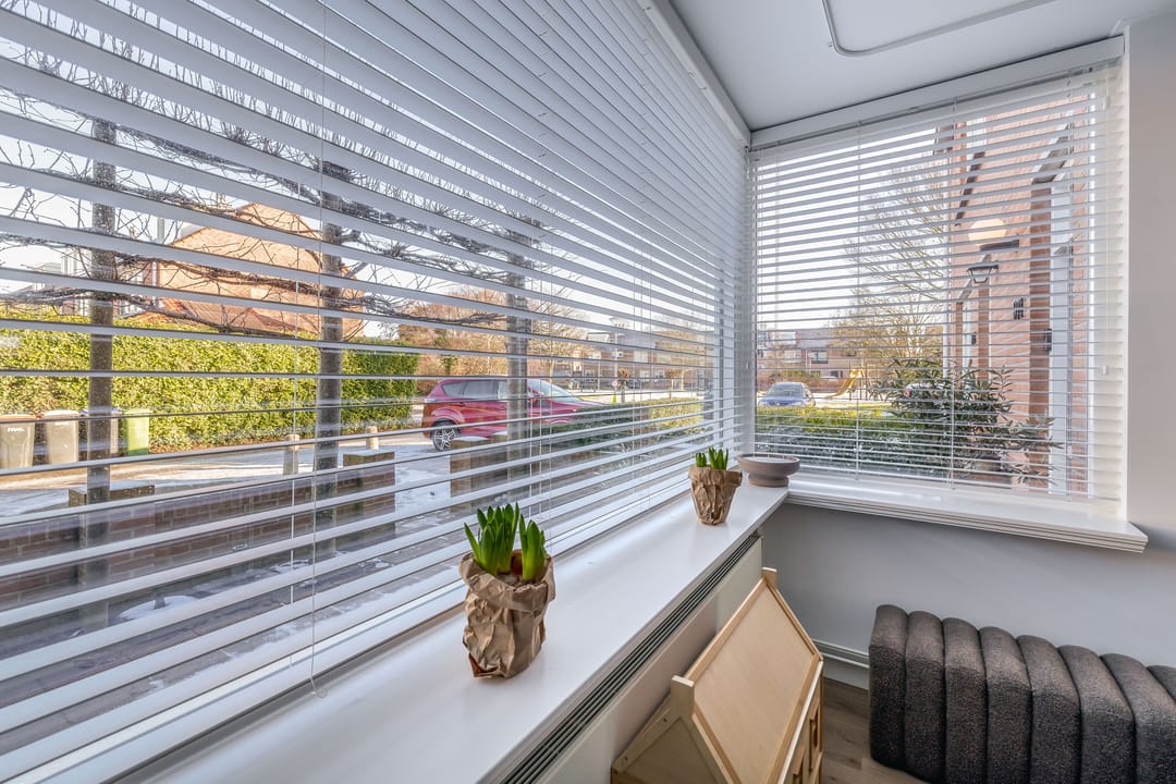 Photo 7 of Wierbalg 1971