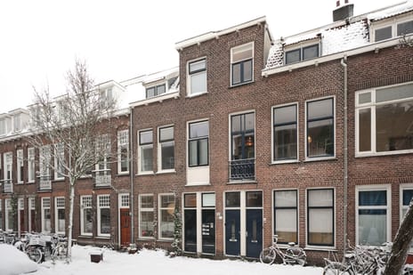 Boomstraat thumbnail