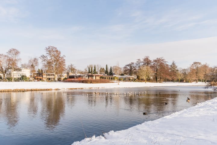 Foto 35 van Midaslaan 26