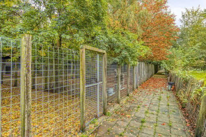 Foto 36 van Rijndijk 29