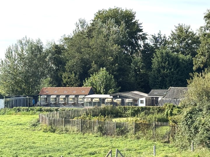 Foto 45 van Rijndijk 29