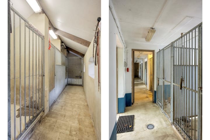 Foto 47 van Rijndijk 29