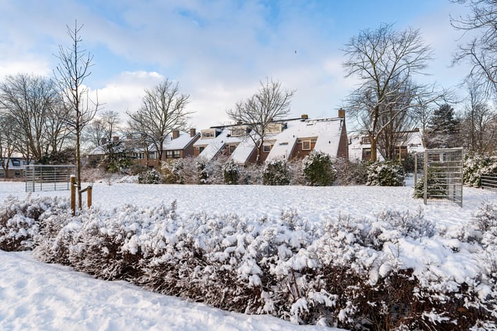 Foto 45 van Spireadreef 3