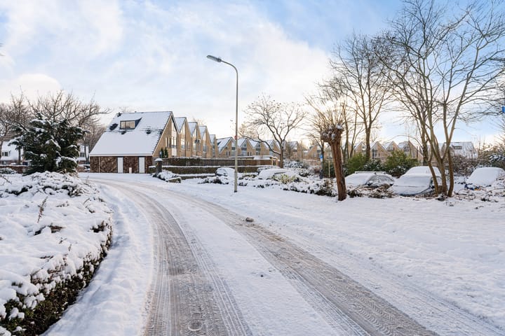 Foto 49 van Spireadreef 3