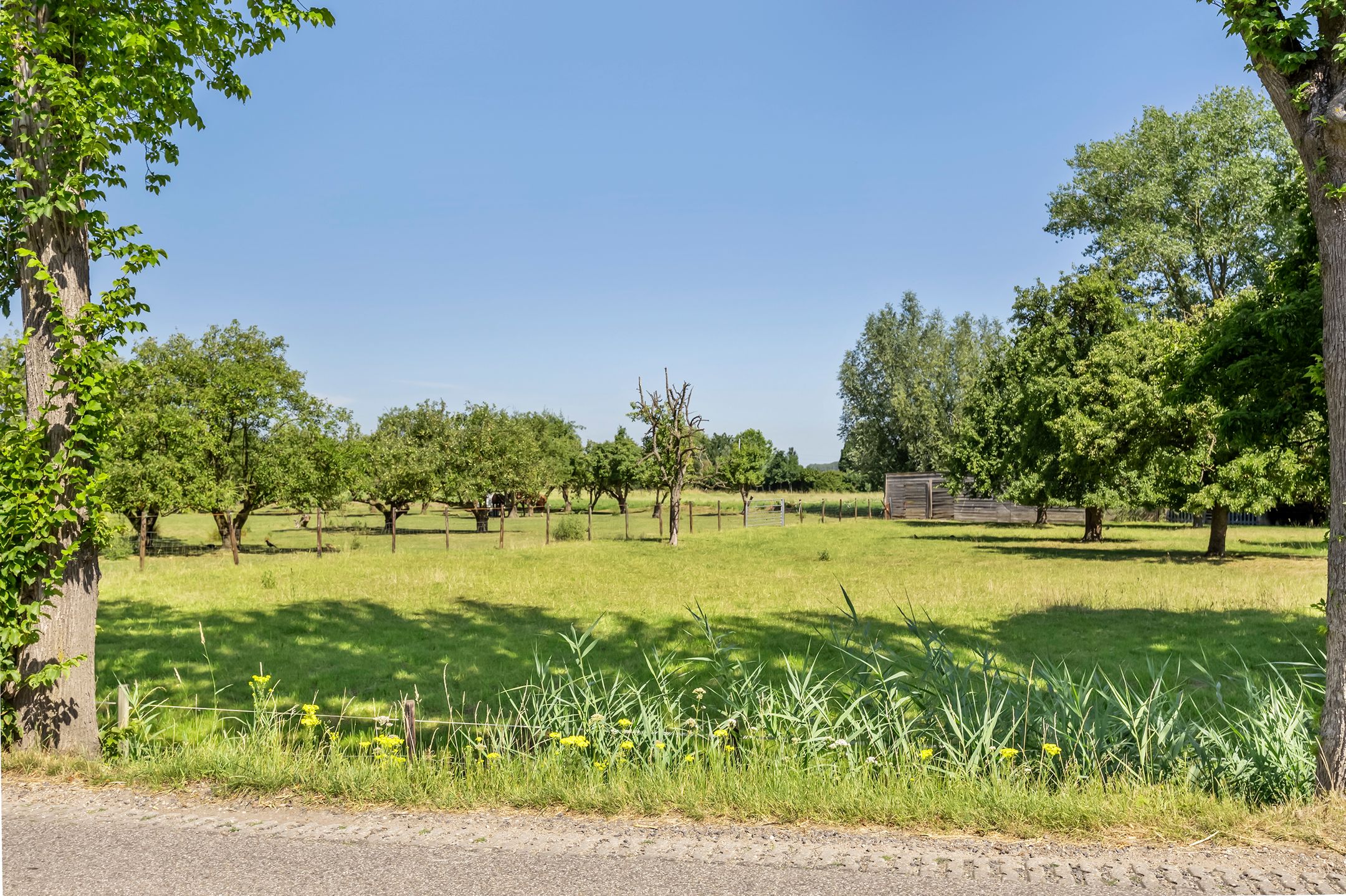 Foto 42 van Haarweg 1-E