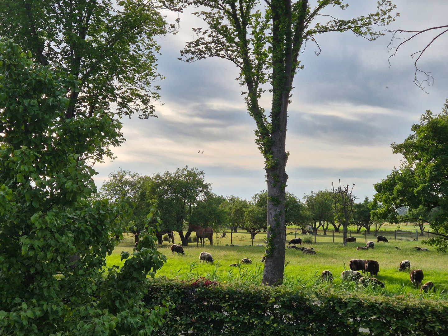 Foto 44 van Haarweg 1-E