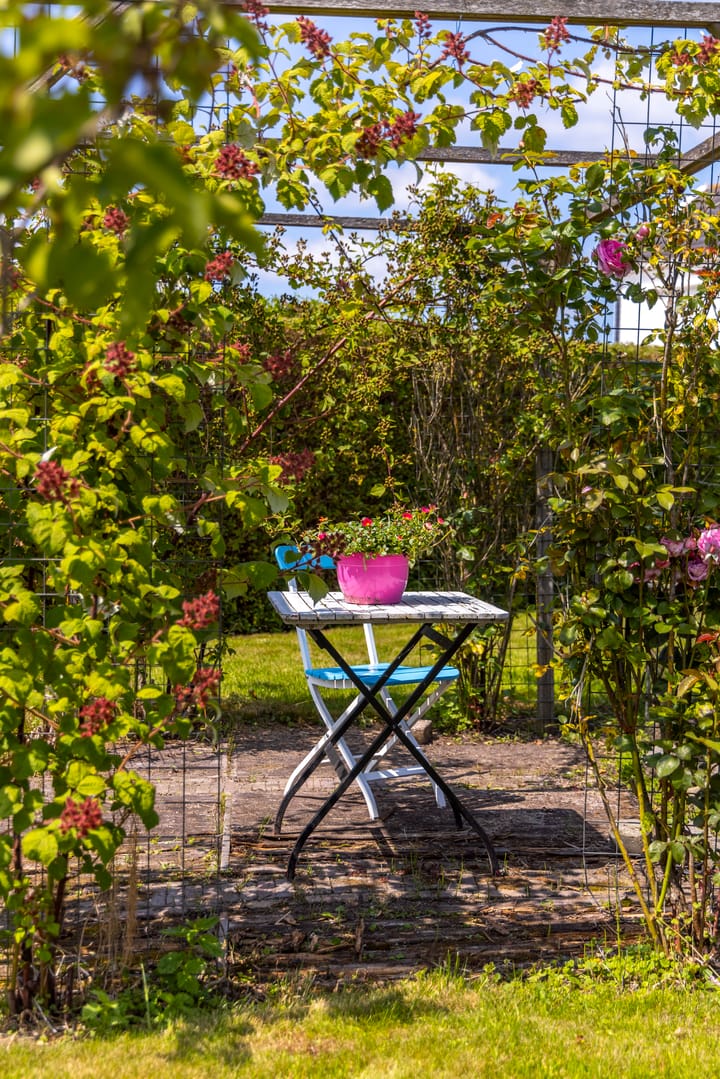 Foto 39 van Dorpsweg 90