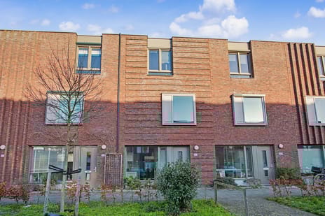 Samuel van Houtenstraat thumbnail