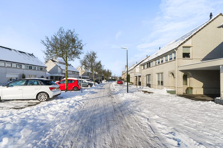 Foto 2 van De Doelen 10