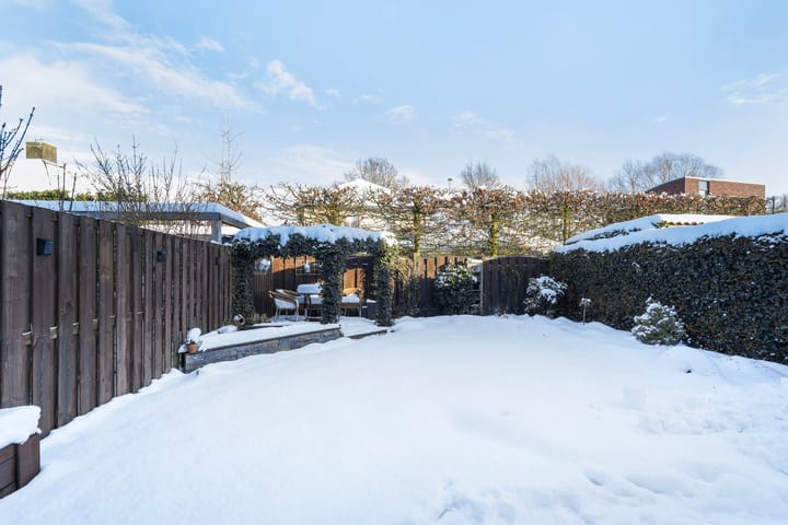 Foto 40 van De Doelen 10