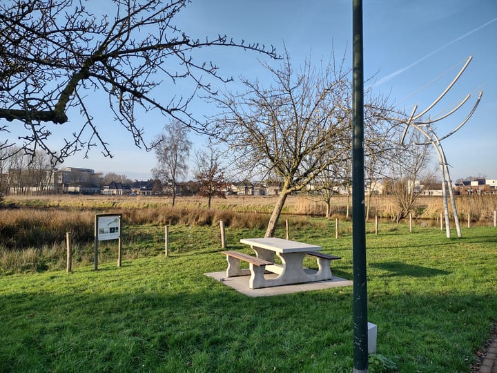 Foto 45 van De Doelen 10