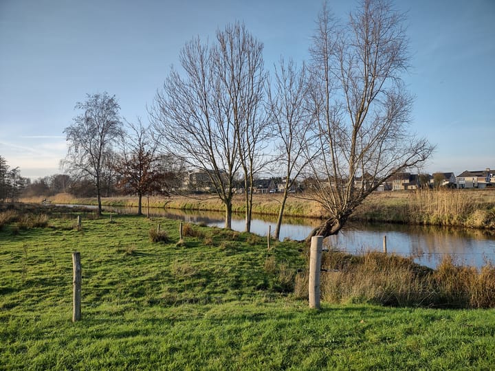 Foto 46 van De Doelen 10