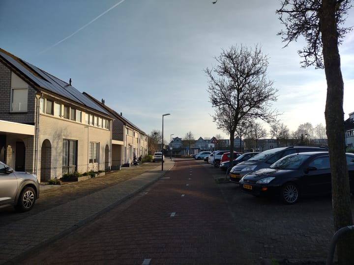 Foto 50 van De Doelen 10