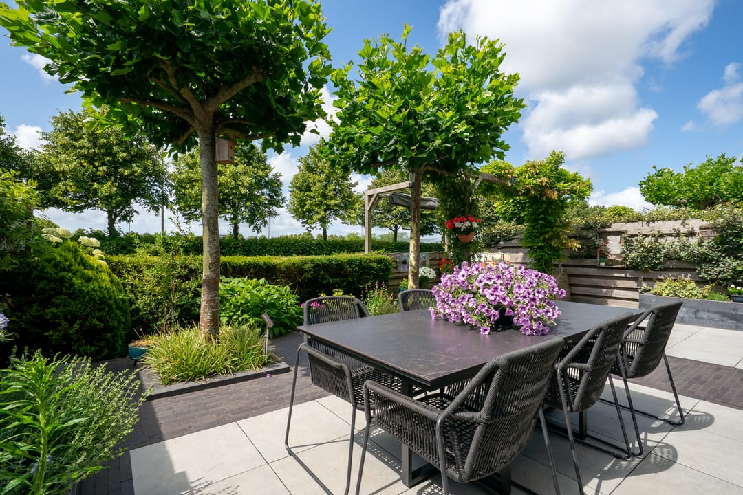 Foto 47 van Alida Buitendijk erf 14