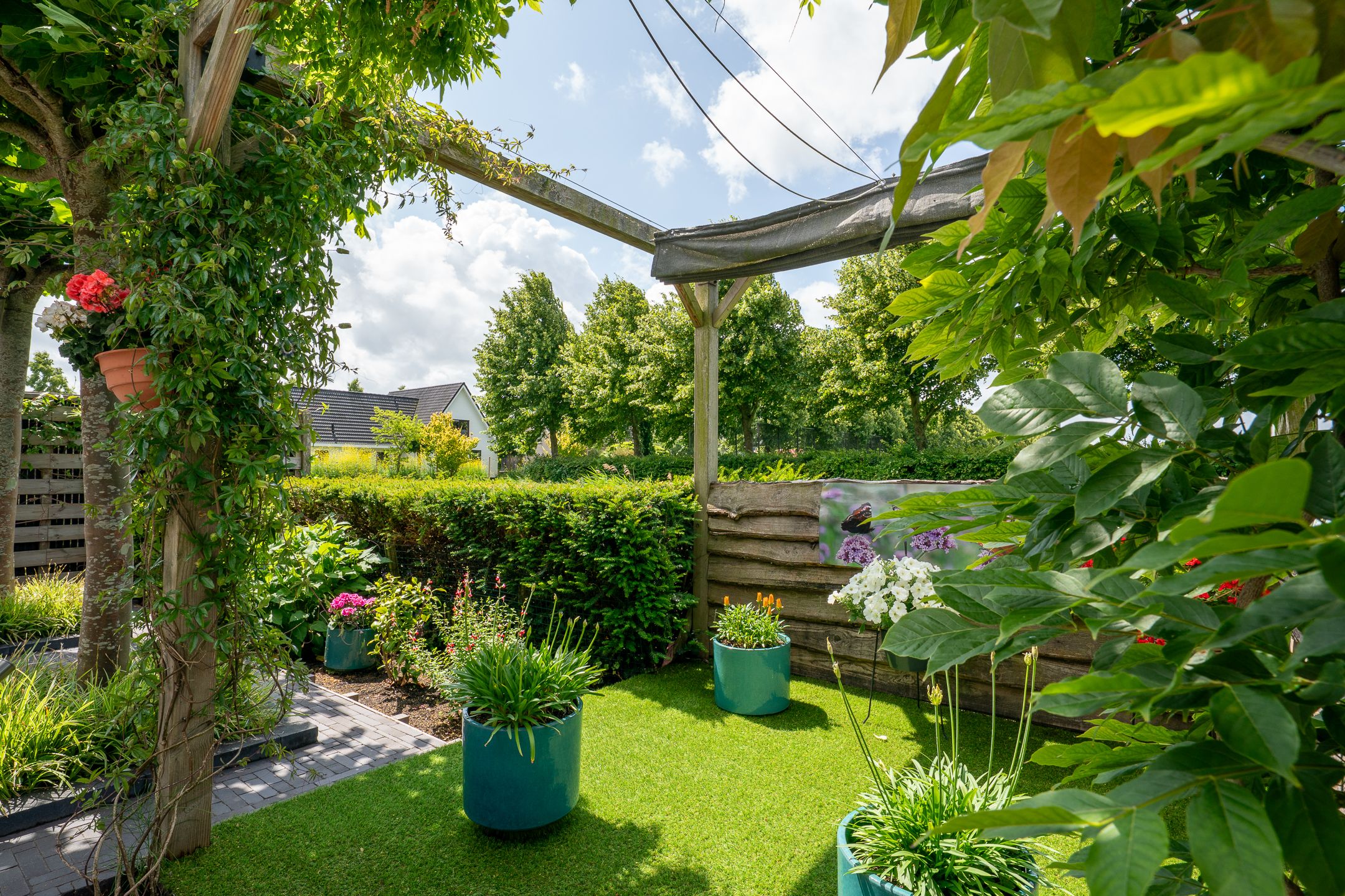 Foto 51 van Alida Buitendijk erf 14