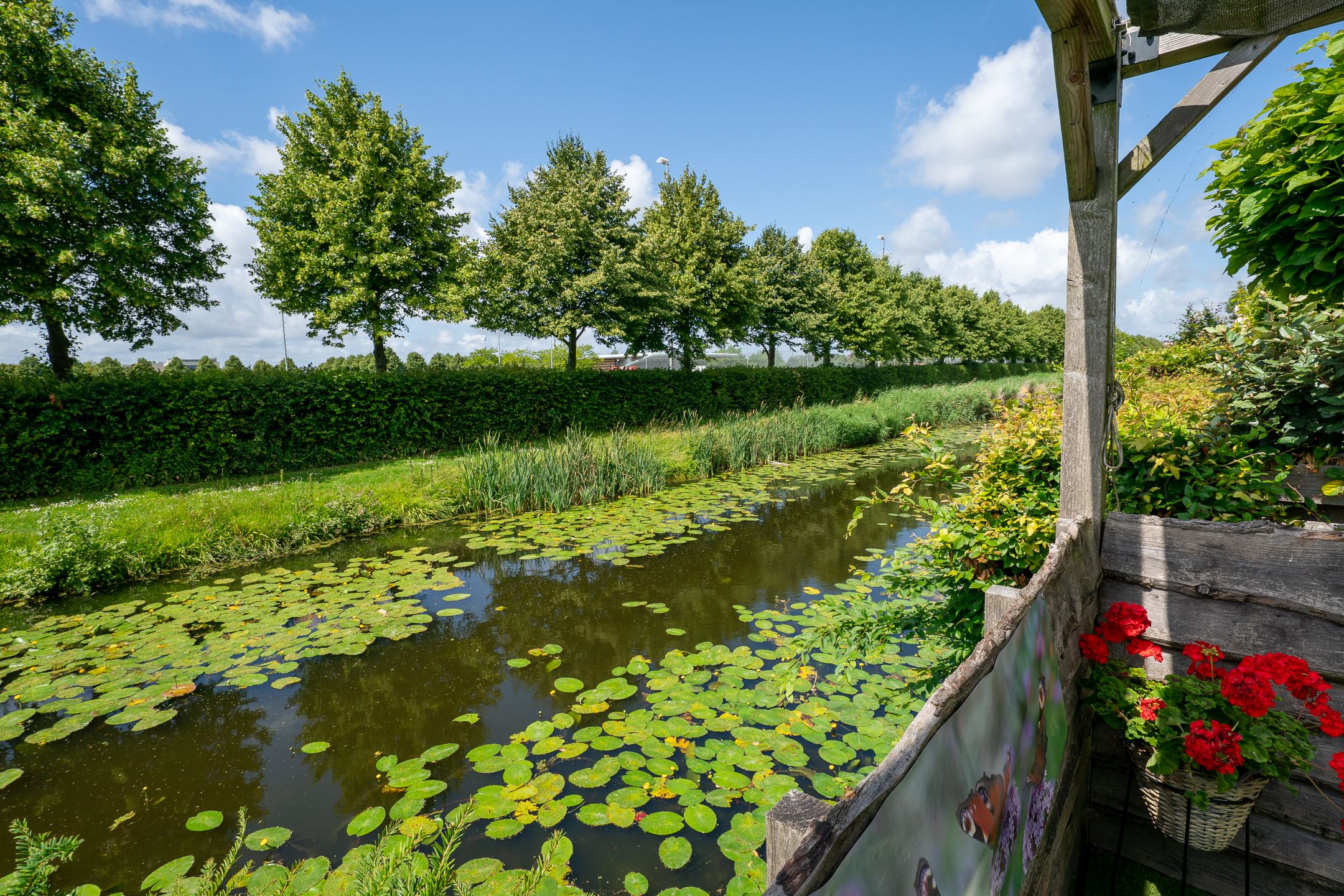 Foto 54 van Alida Buitendijk erf 14