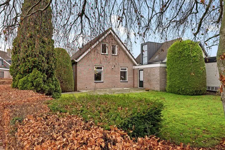 Foto 2 van Lisdodde 40