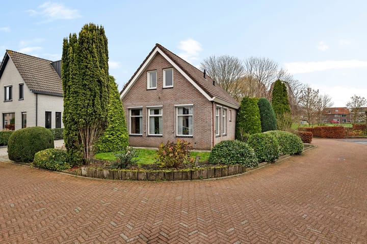 Foto 3 van Lisdodde 40