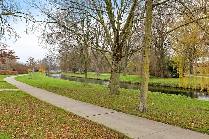 Foto 6 van Lisdodde 40