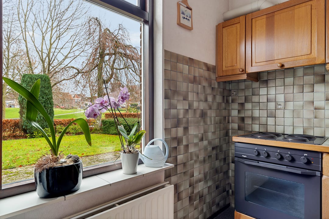 Photo 16 of Lisdodde 40