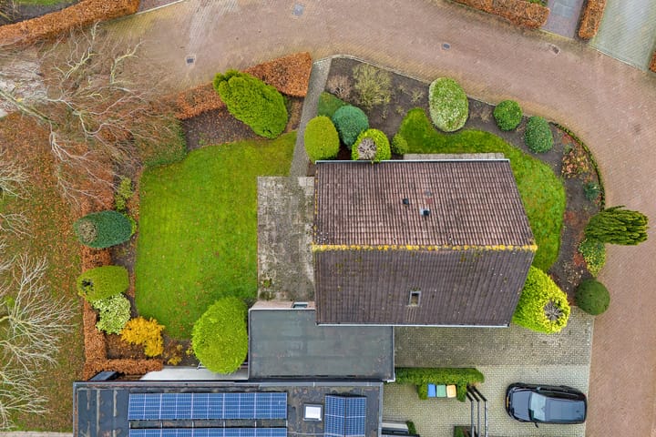 Foto 26 van Lisdodde 40