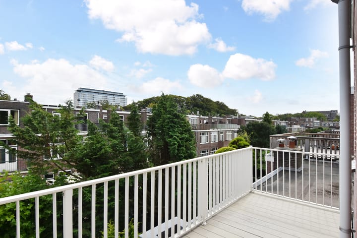 Foto 30 van Van Nijenrodestraat 49