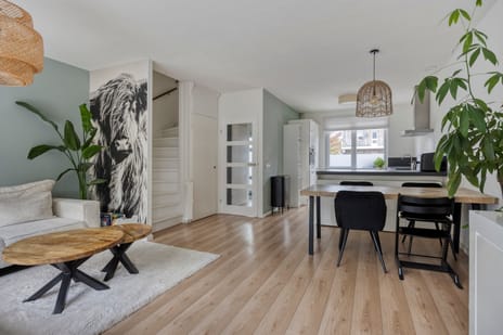 Dotterbloem 52 tertiary image