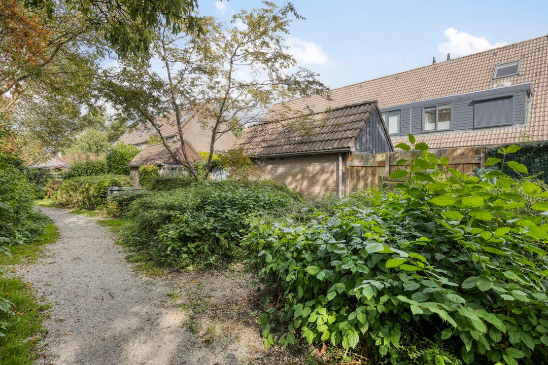 Foto 31 van Dotterbloem 52