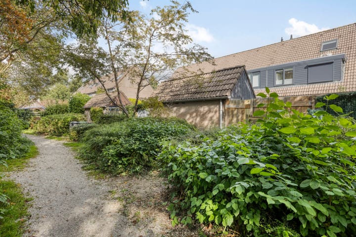 Foto 31 van Dotterbloem 52