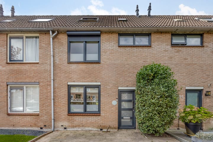 Dotterbloem 52 main image