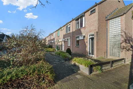 Brander 2 tertiary image