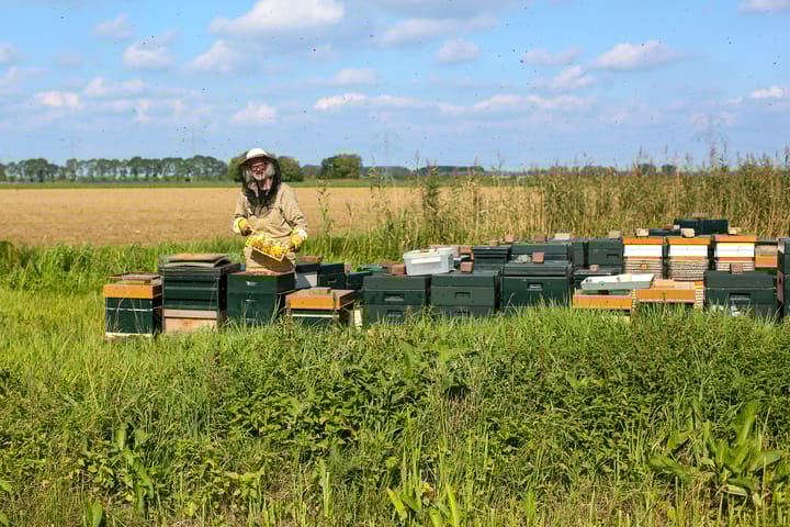 Foto 43 van Buitendijk 55-A