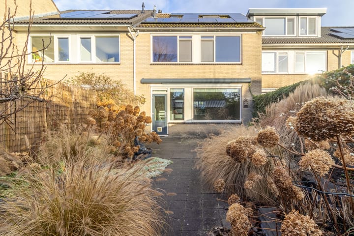 Foto 2 van Scholekster 8