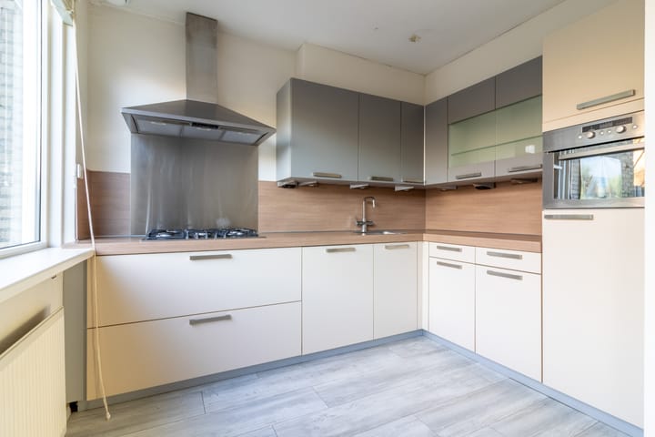 Foto 6 van Scholekster 8