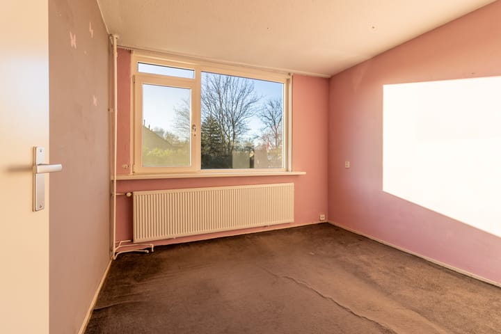 Foto 8 van Scholekster 8