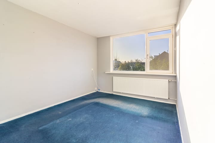 Foto 9 van Scholekster 8