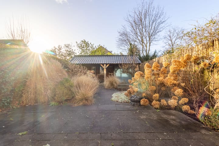 Foto 17 van Scholekster 8