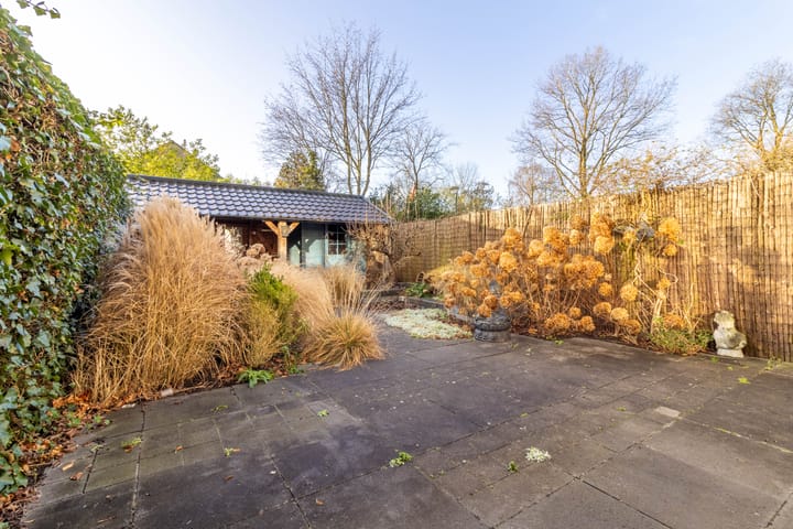 Foto 18 van Scholekster 8