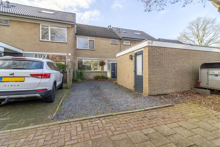 Foto 21 van Scholekster 8